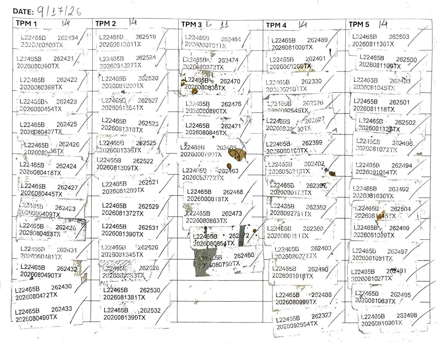 Daily production report with printed crate labels peeled and applied directly onto the paper, organized in columns by TPM station